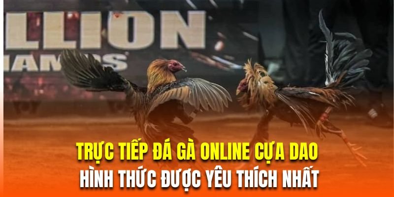 Trực tiếp đá gà online cựa dao là hình thức được yêu thích nhất